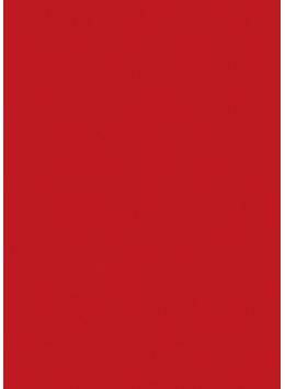 ورق کابینت های گلاس رنگ قرمز ایشیک